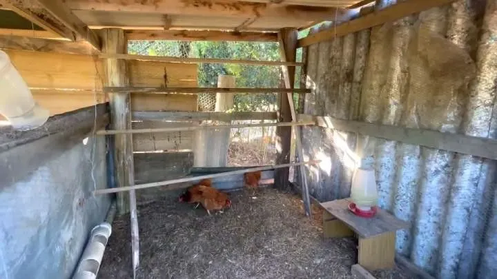 Chácara à venda de 1.800 m² em Osório, RS, Brasil