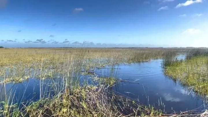 Chácara à venda de 1.800 m² em Osório, RS, Brasil