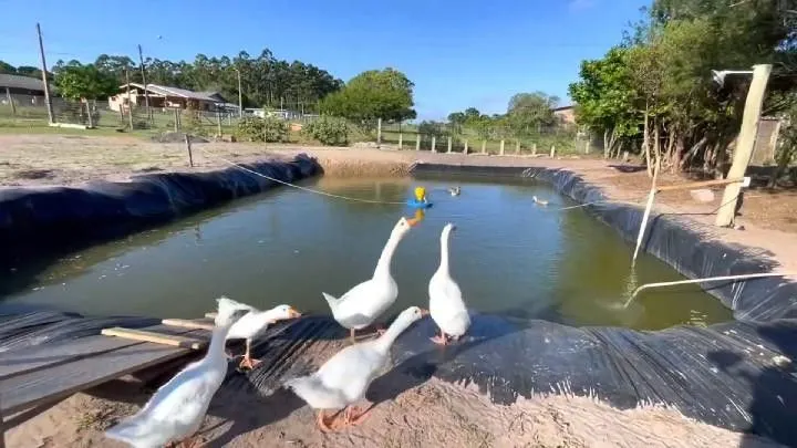 Chácara à venda de 1.800 m² em Osório, RS, Brasil