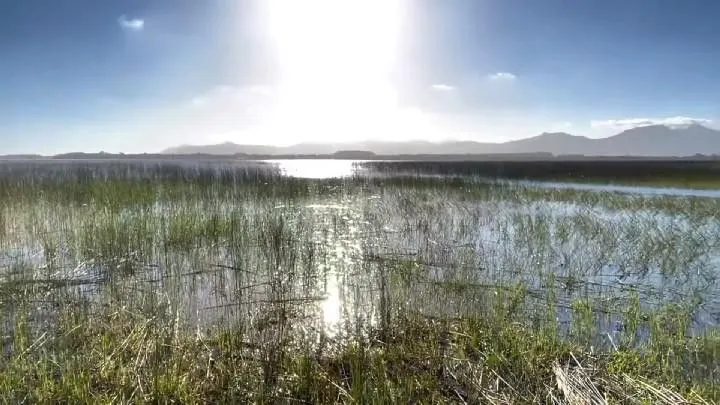 Chácara à venda de 1.800 m² em Osório, RS, Brasil
