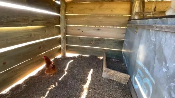 Chácara à venda de 1.800 m² em Osório, RS, Brasil