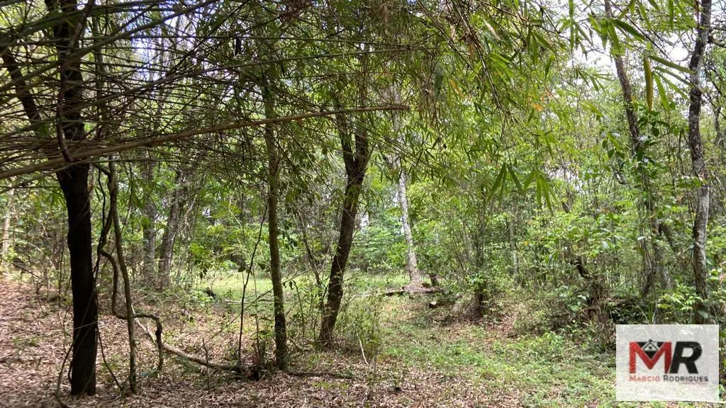 Sítio à venda de 48 ha em São Gonçalo do Sapucaí, MG, Brasil