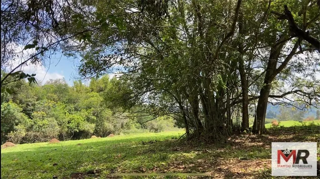 Sítio à venda de 48 ha em São Gonçalo do Sapucaí, MG, Brasil