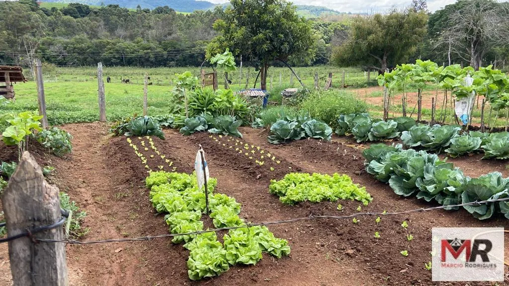 Sítio à venda de 48 ha em São Gonçalo do Sapucaí, MG, Brasil