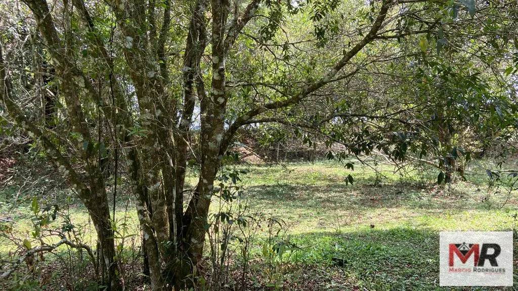 Sítio à venda de 48 ha em São Gonçalo do Sapucaí, MG, Brasil