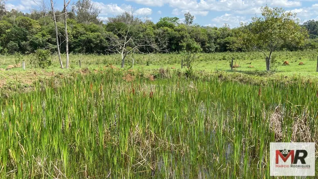 Sítio à venda de 48 ha em São Gonçalo do Sapucaí, MG, Brasil