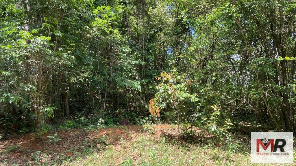 Sítio à venda de 48 ha em São Gonçalo do Sapucaí, MG, Brasil
