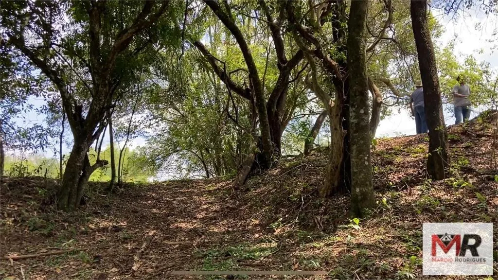 Sítio à venda de 48 ha em São Gonçalo do Sapucaí, MG, Brasil