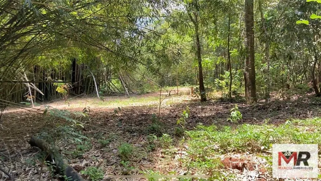 Sítio à venda de 48 ha em São Gonçalo do Sapucaí, MG, Brasil