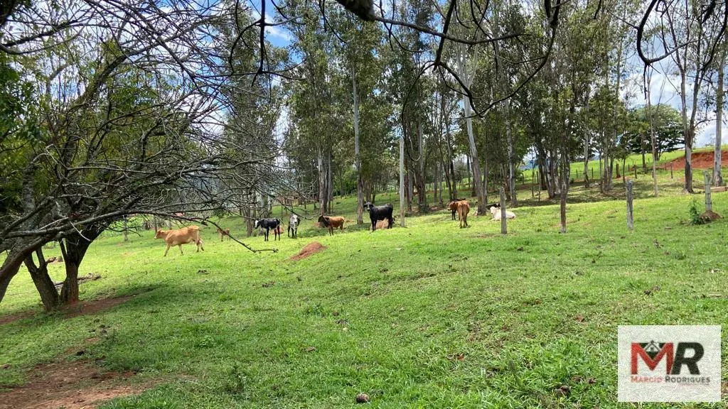Sítio à venda de 48 ha em São Gonçalo do Sapucaí, MG, Brasil