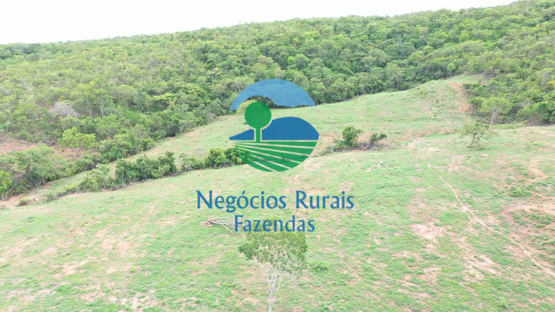 Fazenda à venda de 1.510 ha em São João d'Aliança, GO, Brasil