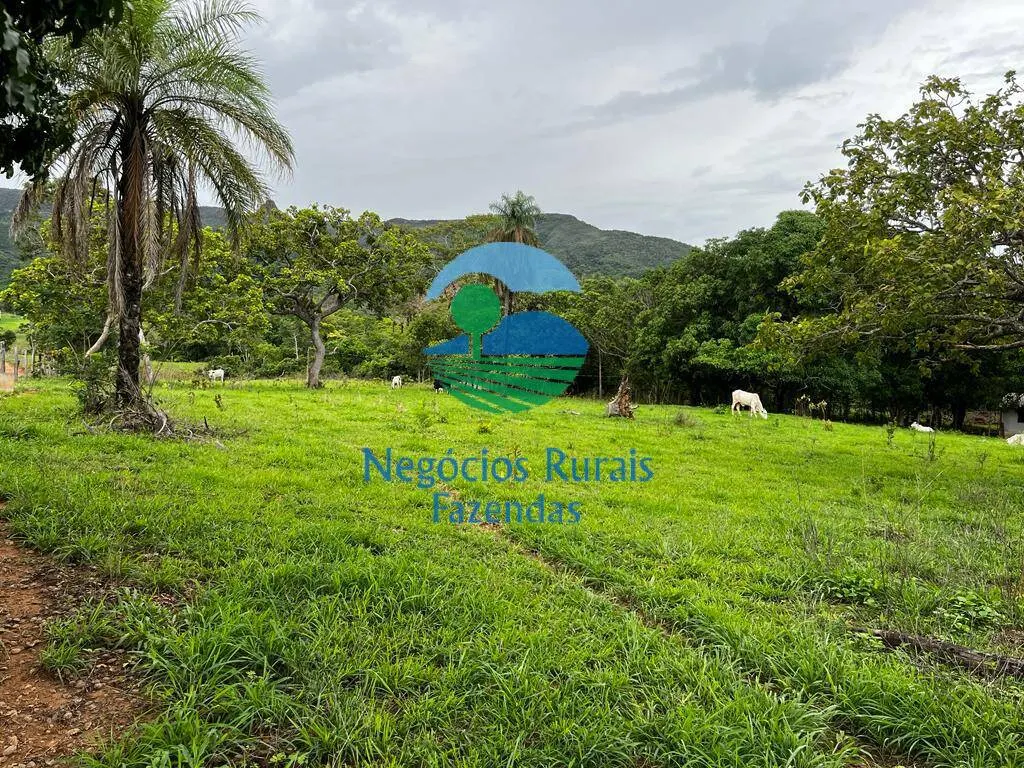 Fazenda à venda de 1.510 ha em São João d'Aliança, GO, Brasil