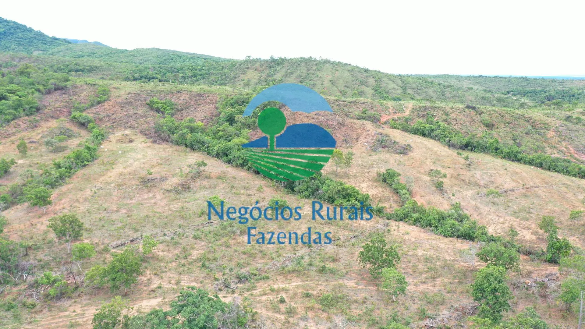 Fazenda à venda de 1.510 ha em São João d'Aliança, GO, Brasil
