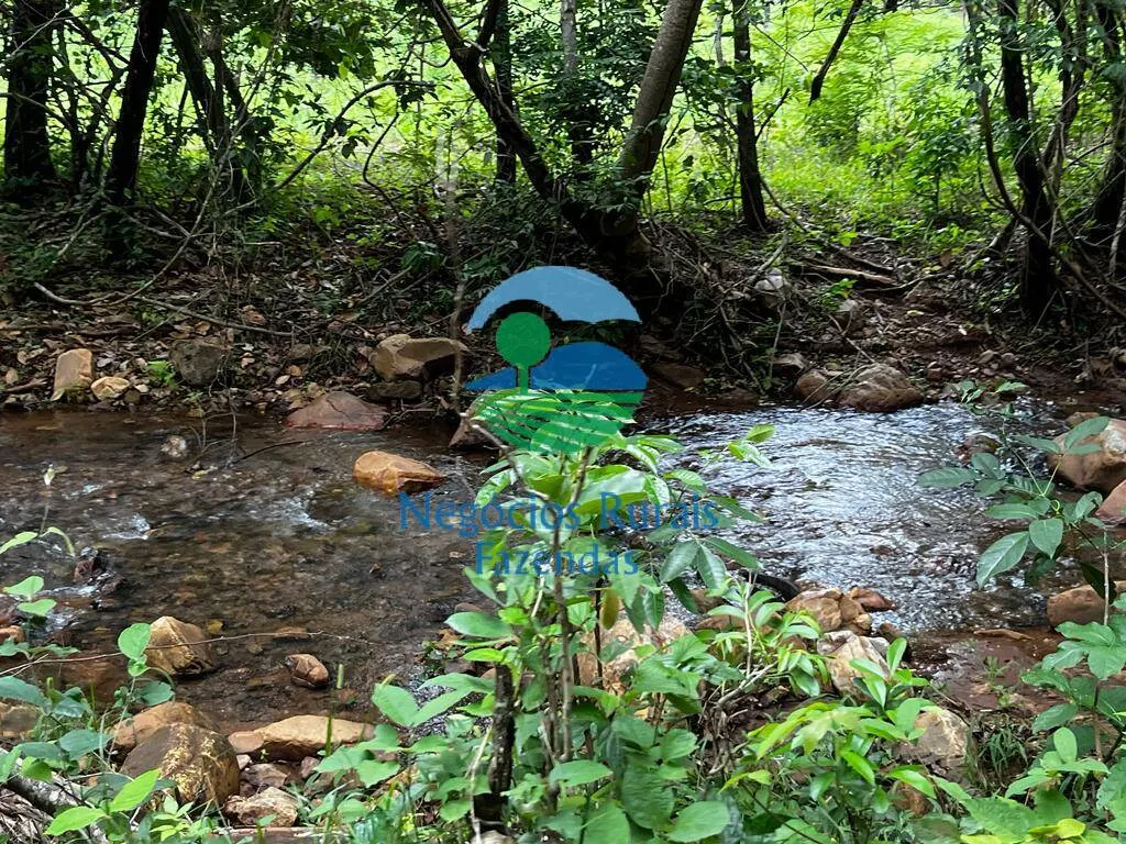 Fazenda à venda de 1.510 ha em São João d'Aliança, GO, Brasil