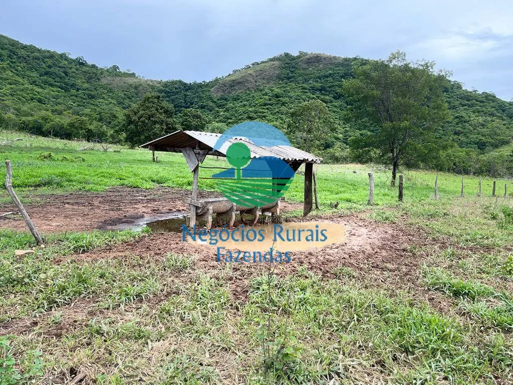 Fazenda à venda de 1.510 ha em São João d'Aliança, GO, Brasil