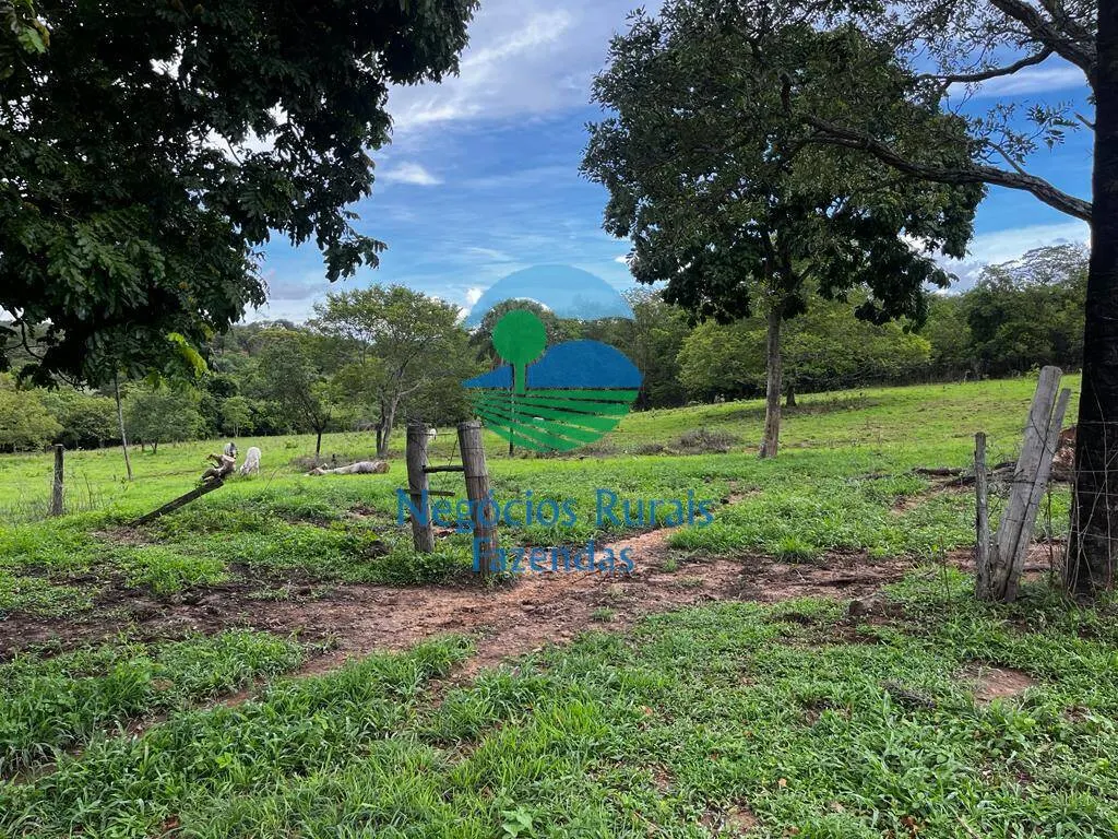 Fazenda à venda de 1.510 ha em São João d'Aliança, GO, Brasil