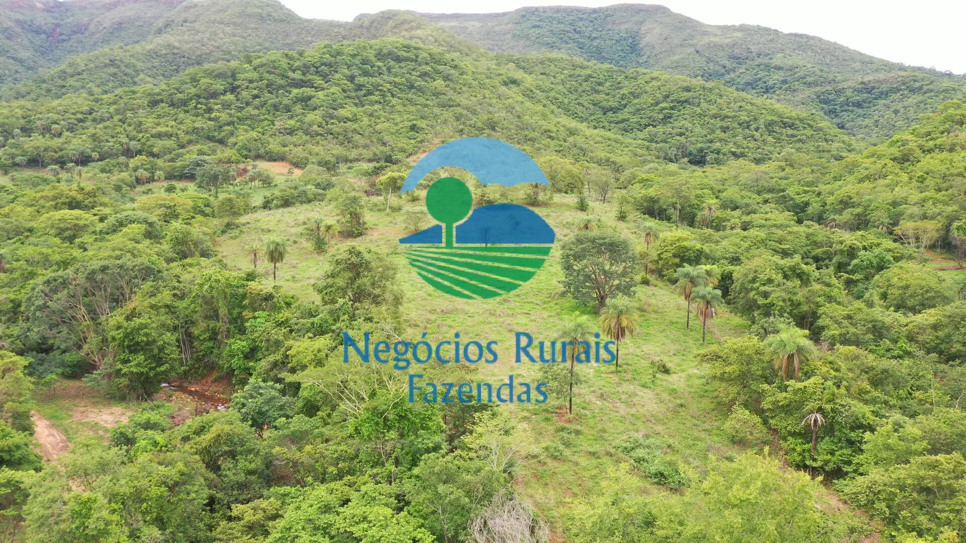 Fazenda à venda de 1.510 ha em São João d'Aliança, GO, Brasil