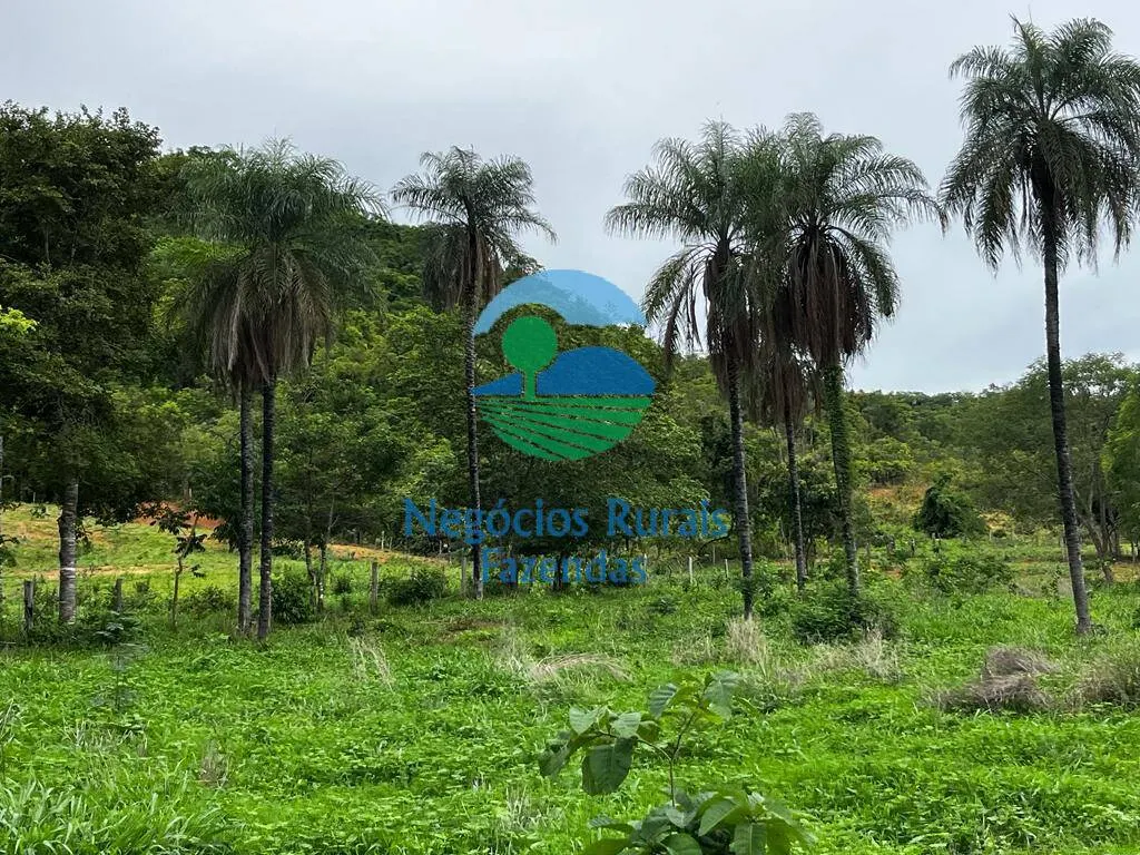 Fazenda à venda de 1.510 ha em São João d'Aliança, GO, Brasil