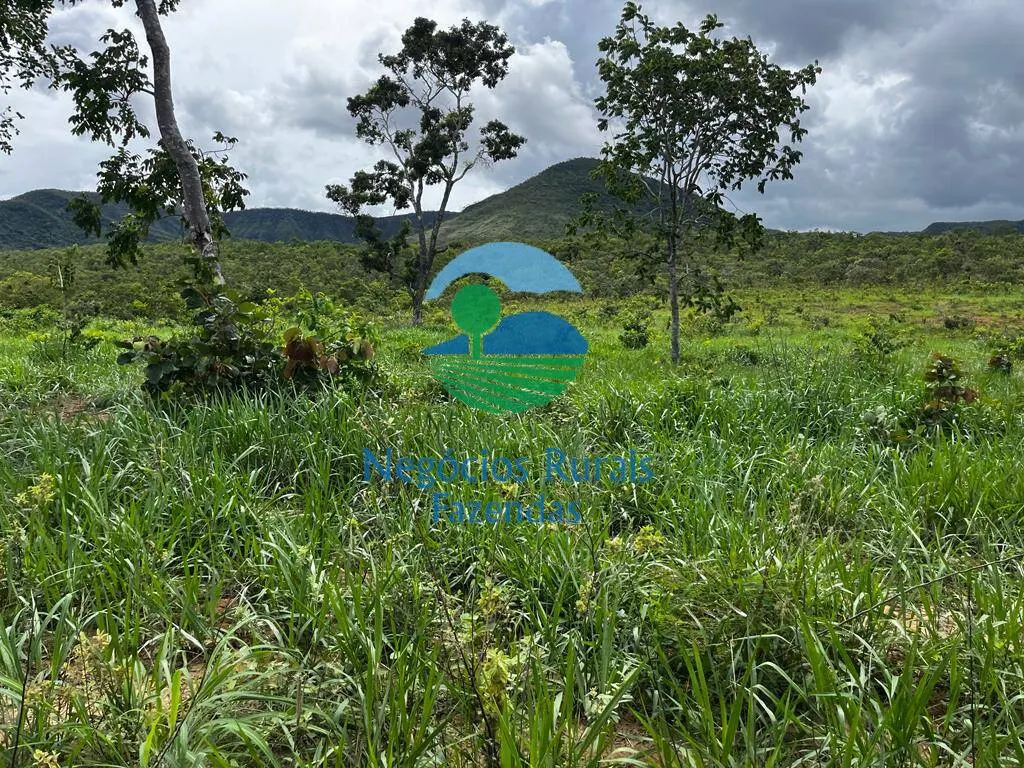 Fazenda à venda de 1.510 ha em São João d'Aliança, GO, Brasil