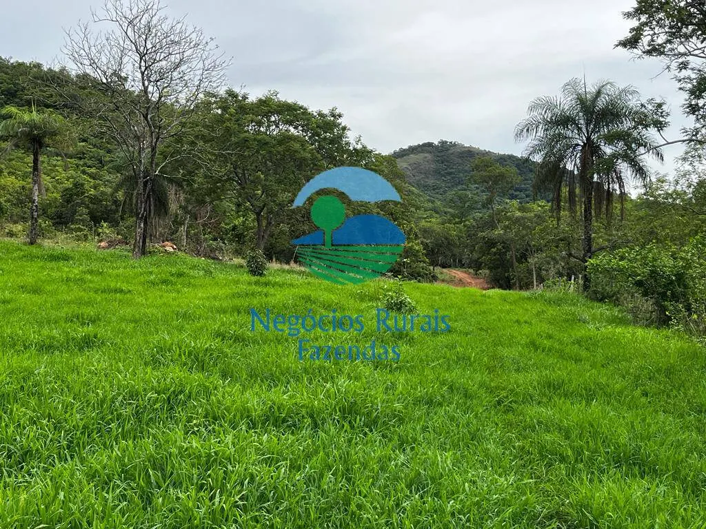 Fazenda à venda de 1.510 ha em São João d'Aliança, GO, Brasil