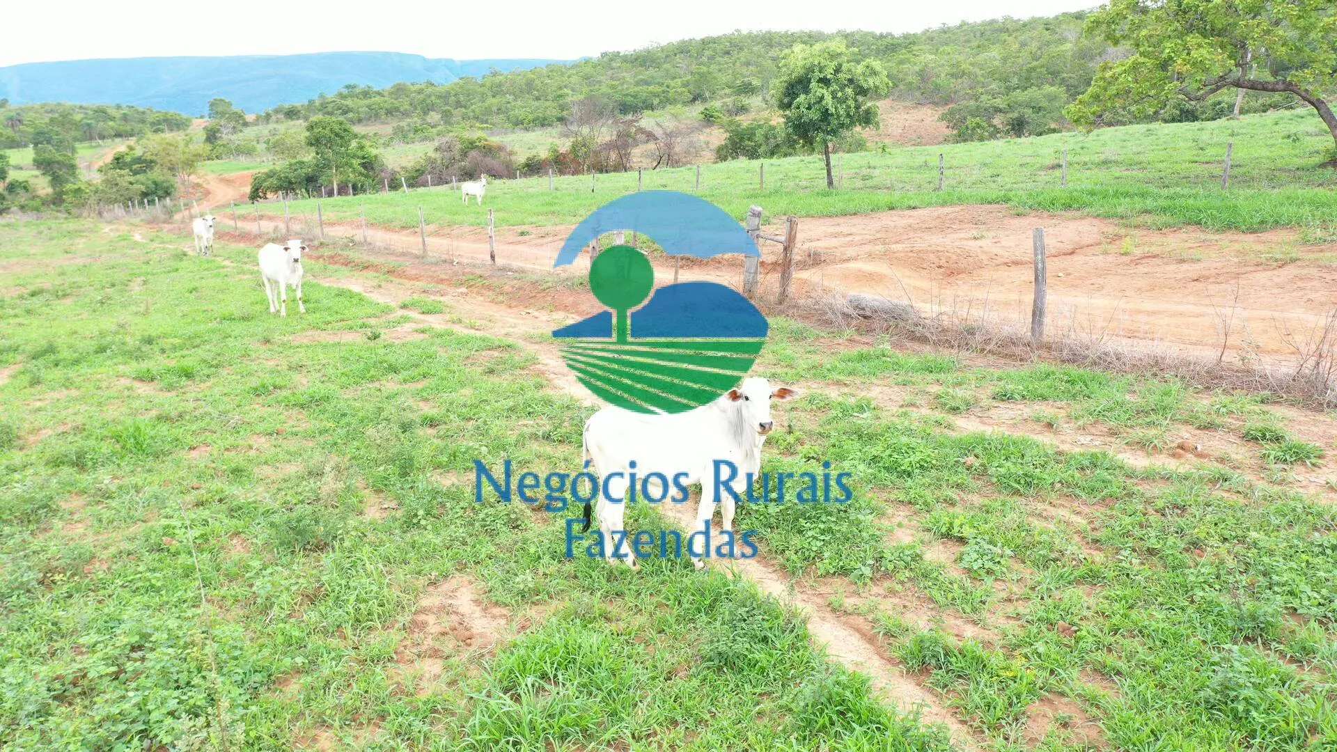Fazenda à venda de 1.510 ha em São João d'Aliança, GO, Brasil
