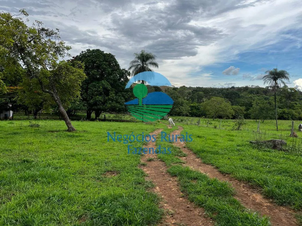 Fazenda à venda de 1.510 ha em São João d'Aliança, GO, Brasil