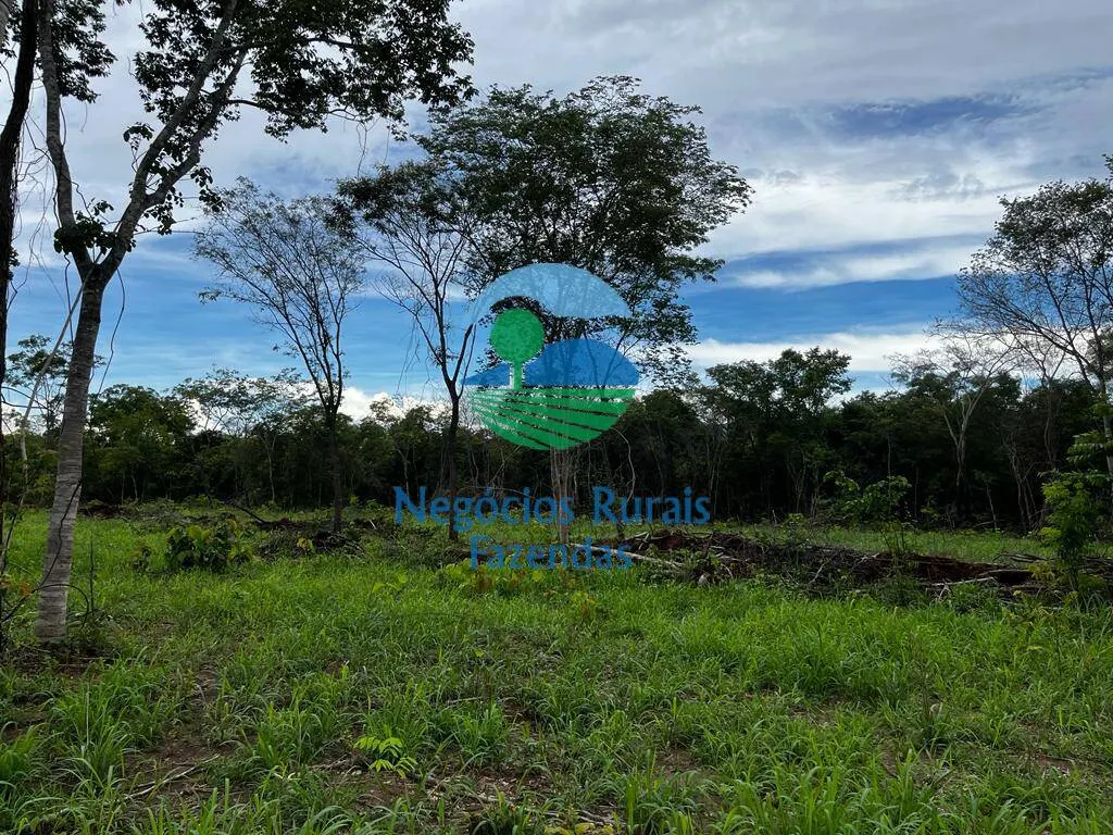 Fazenda à venda de 1.510 ha em São João d'Aliança, GO, Brasil
