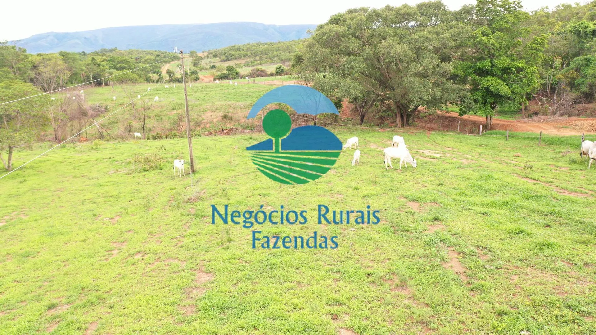 Fazenda à venda de 1.510 ha em São João d'Aliança, GO, Brasil