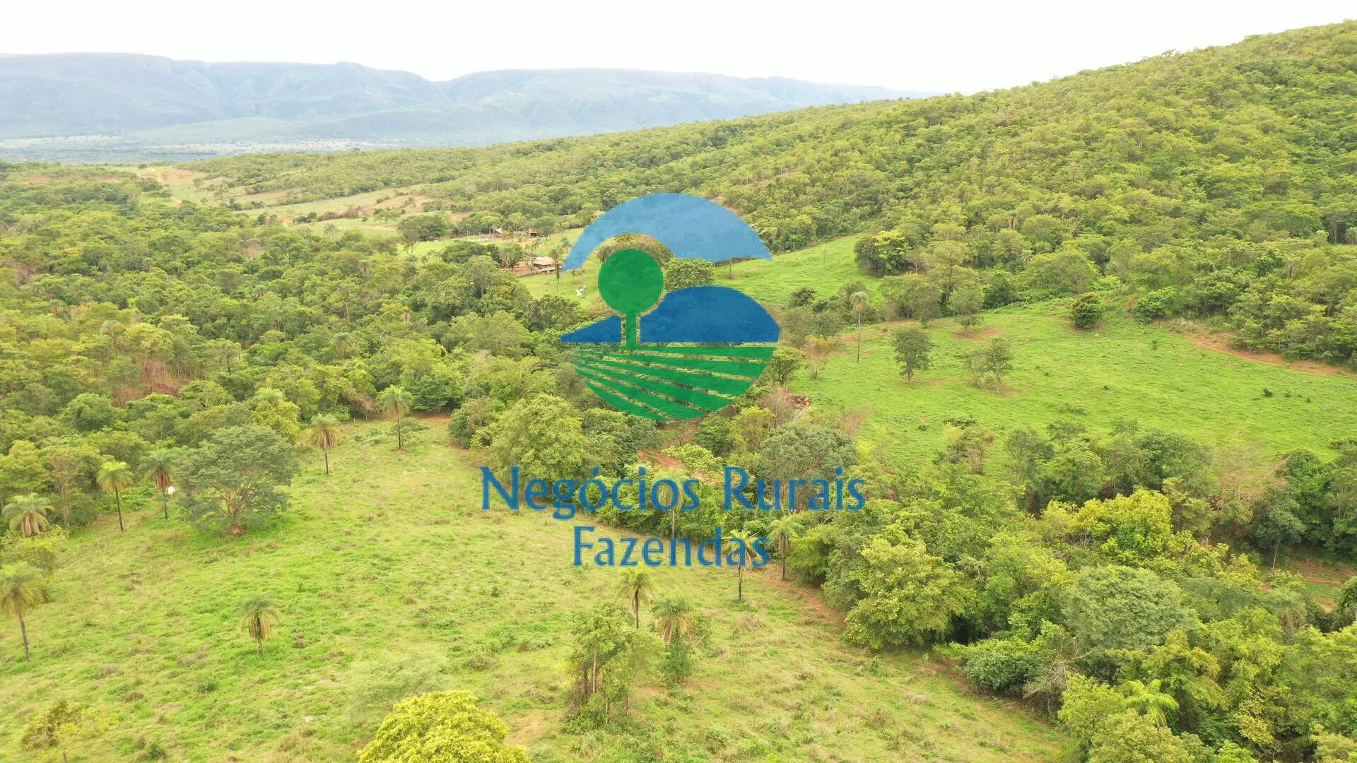 Fazenda à venda de 1.510 ha em São João d'Aliança, GO, Brasil
