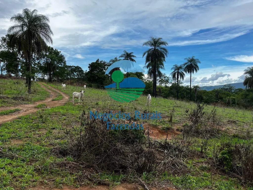 Fazenda à venda de 1.510 ha em São João d'Aliança, GO, Brasil