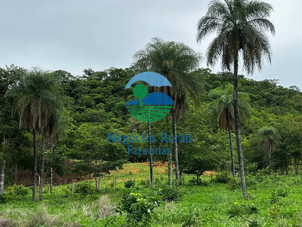Fazenda à venda de 1.510 ha em São João d'Aliança, GO, Brasil