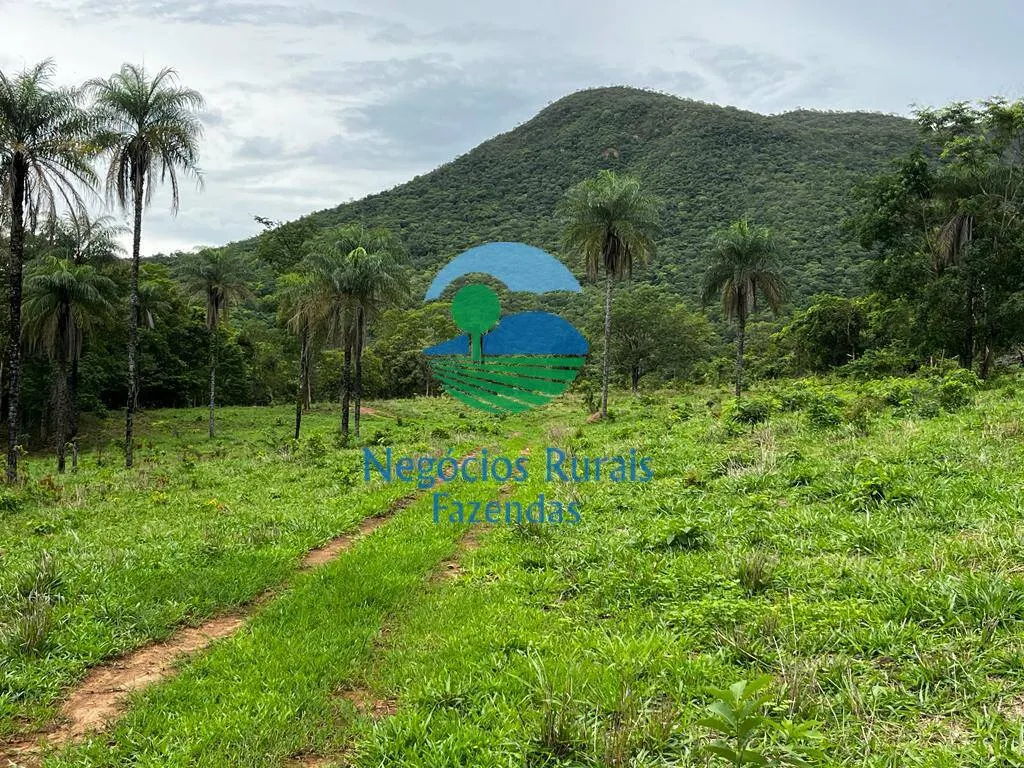 Fazenda à venda de 1.510 ha em São João d'Aliança, GO, Brasil