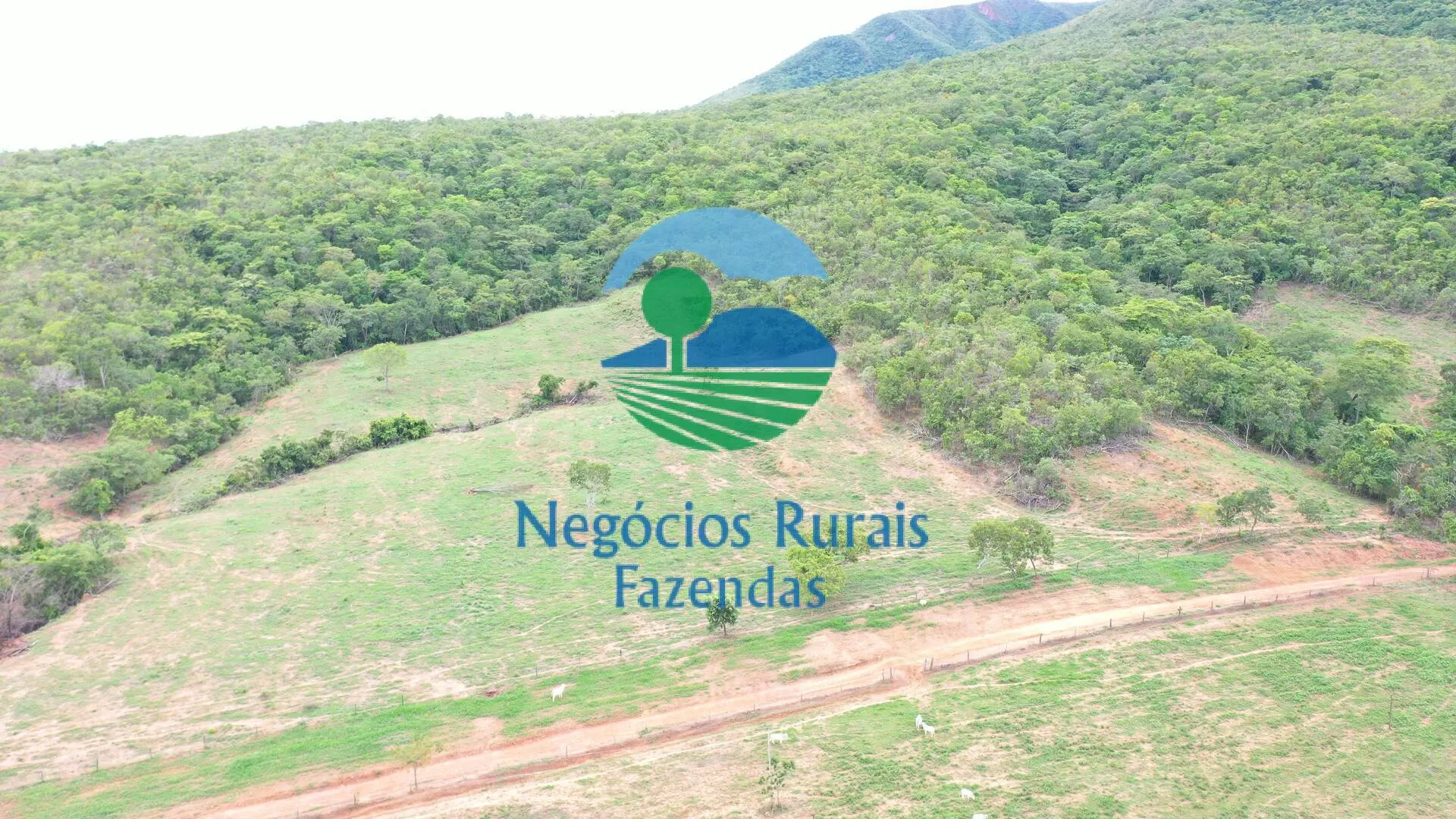 Fazenda à venda de 1.510 ha em São João d'Aliança, GO, Brasil