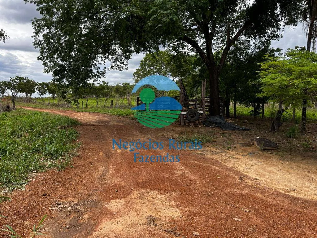Fazenda à venda de 1.510 ha em São João d'Aliança, GO, Brasil