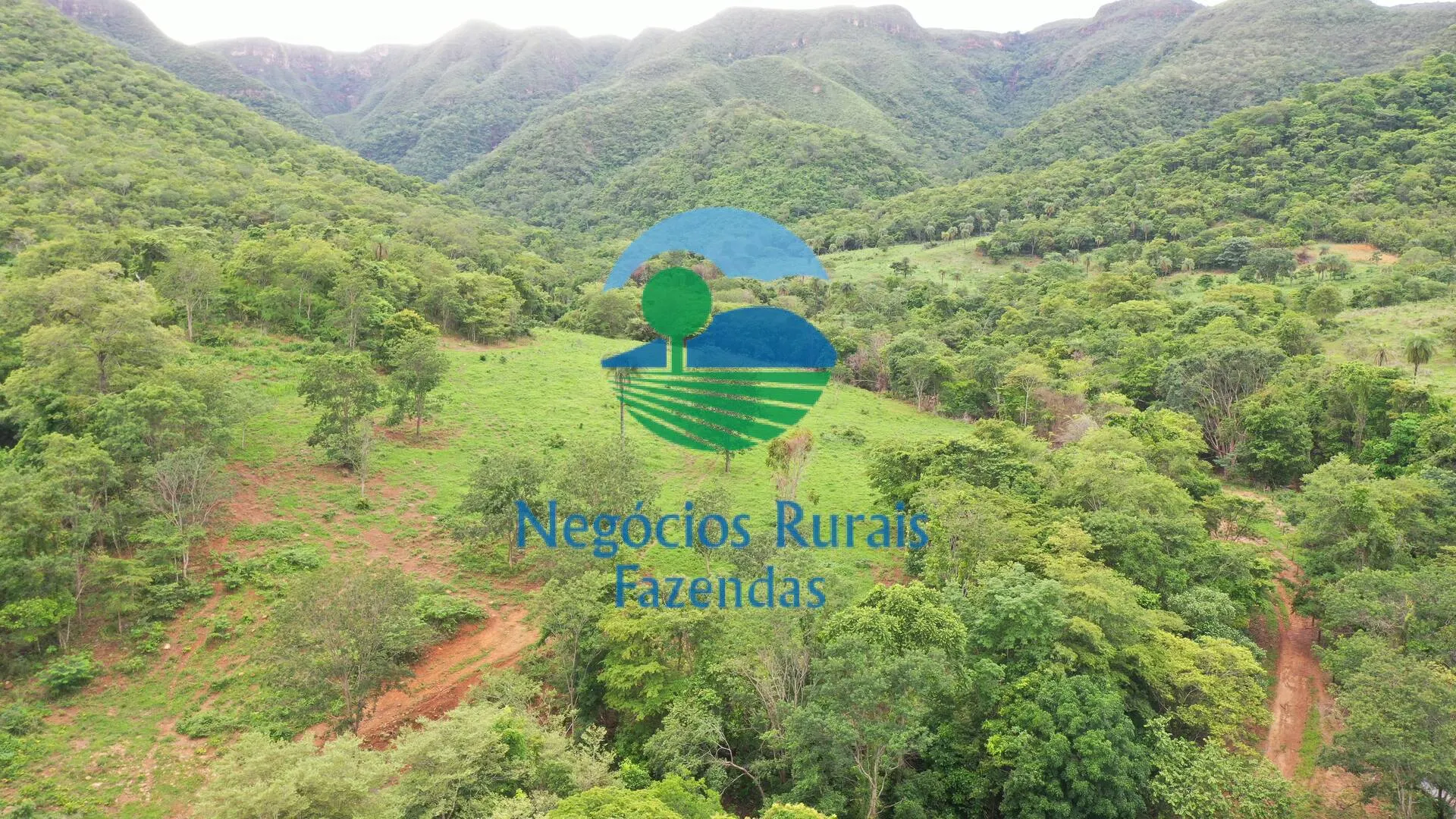 Fazenda à venda de 1.510 ha em São João d'Aliança, GO, Brasil