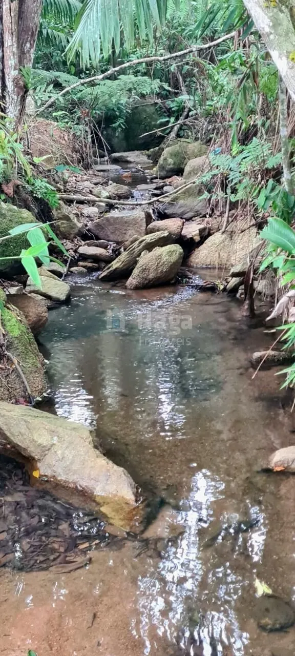 Chácara à venda de 13 ha em Canelinha, SC, Brasil