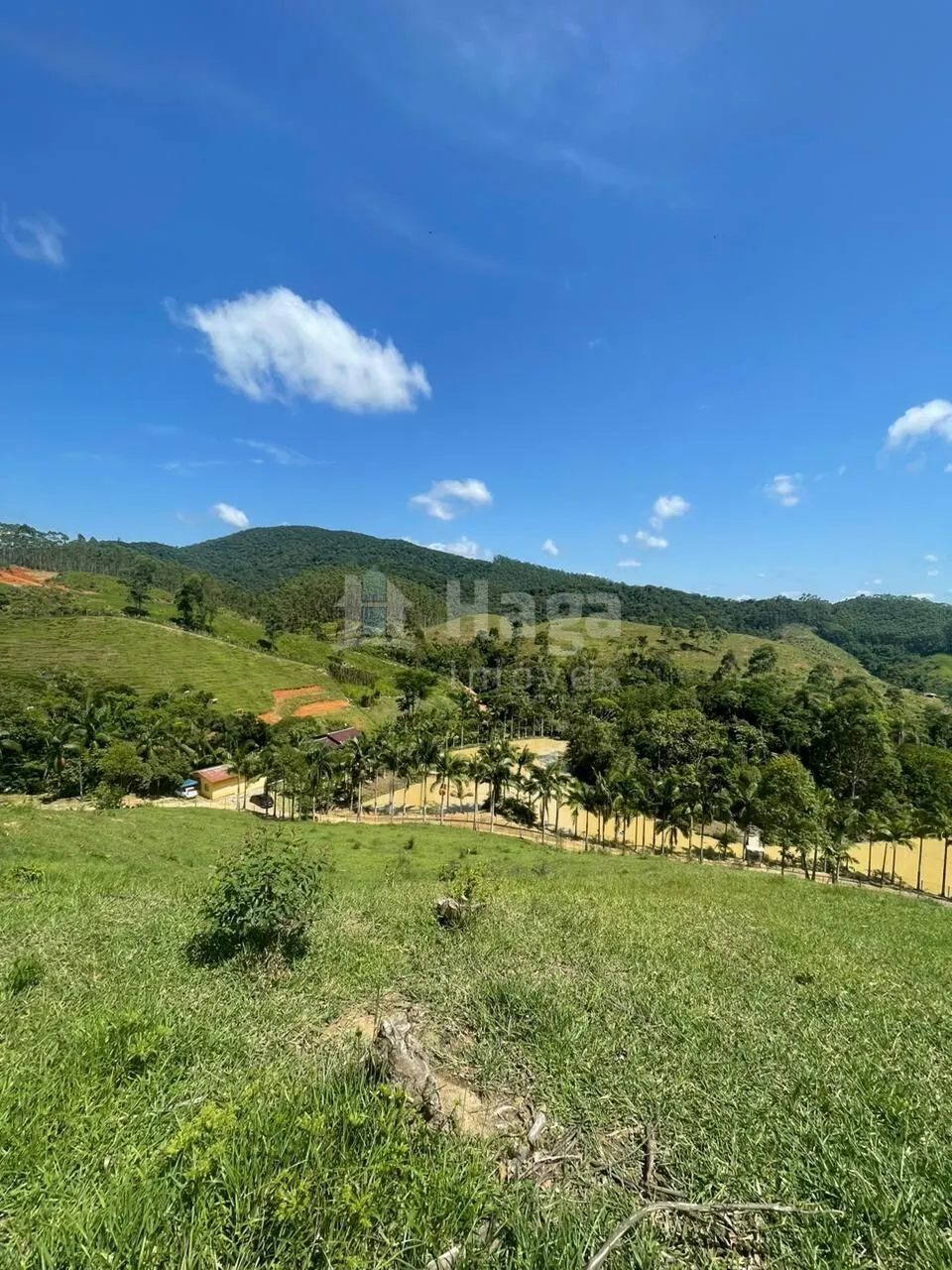 Chácara à venda de 13 ha em Canelinha, SC, Brasil
