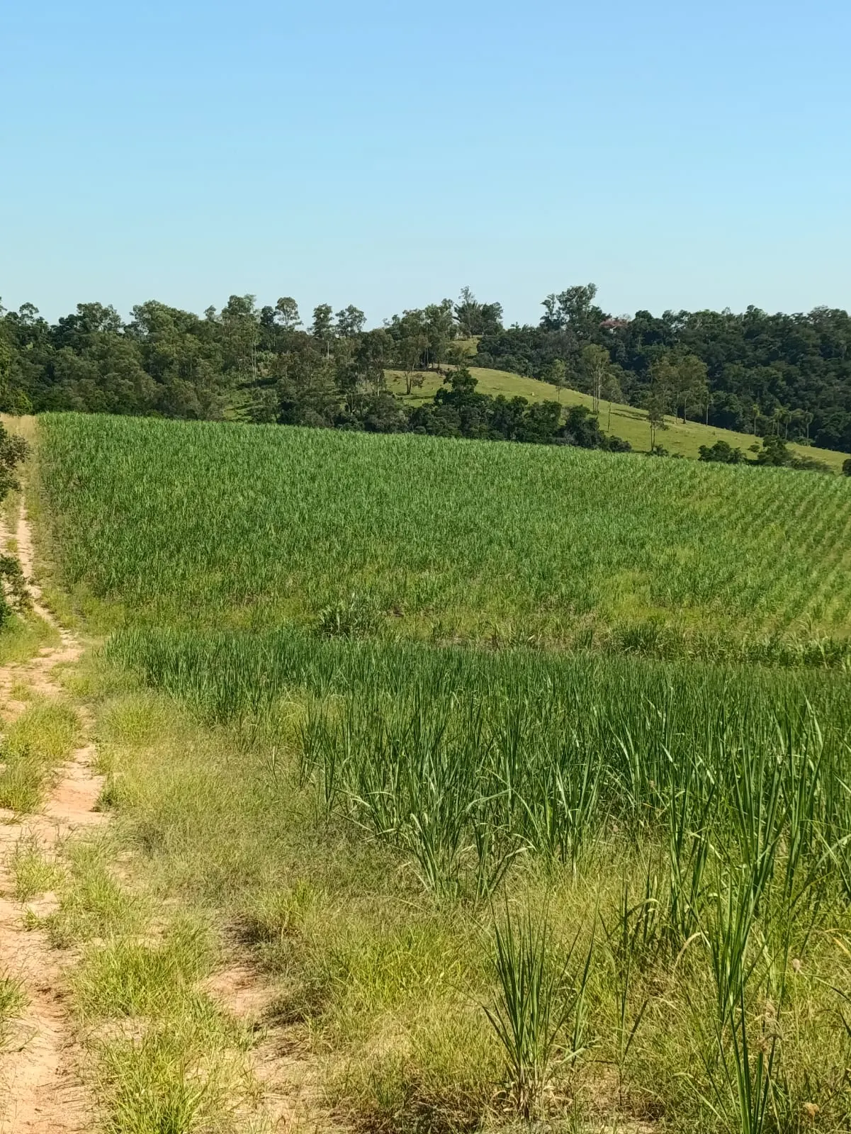 Terreno à venda de 59 ha em Tatuí, SP, Brasil