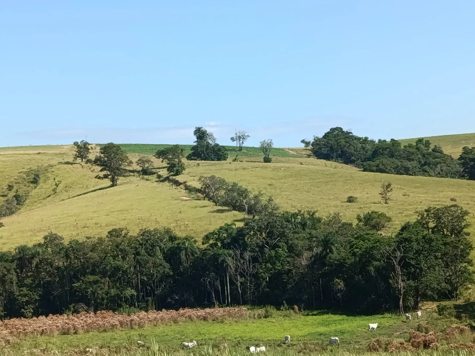 Terreno à venda de 59 ha em Tatuí, SP, Brasil