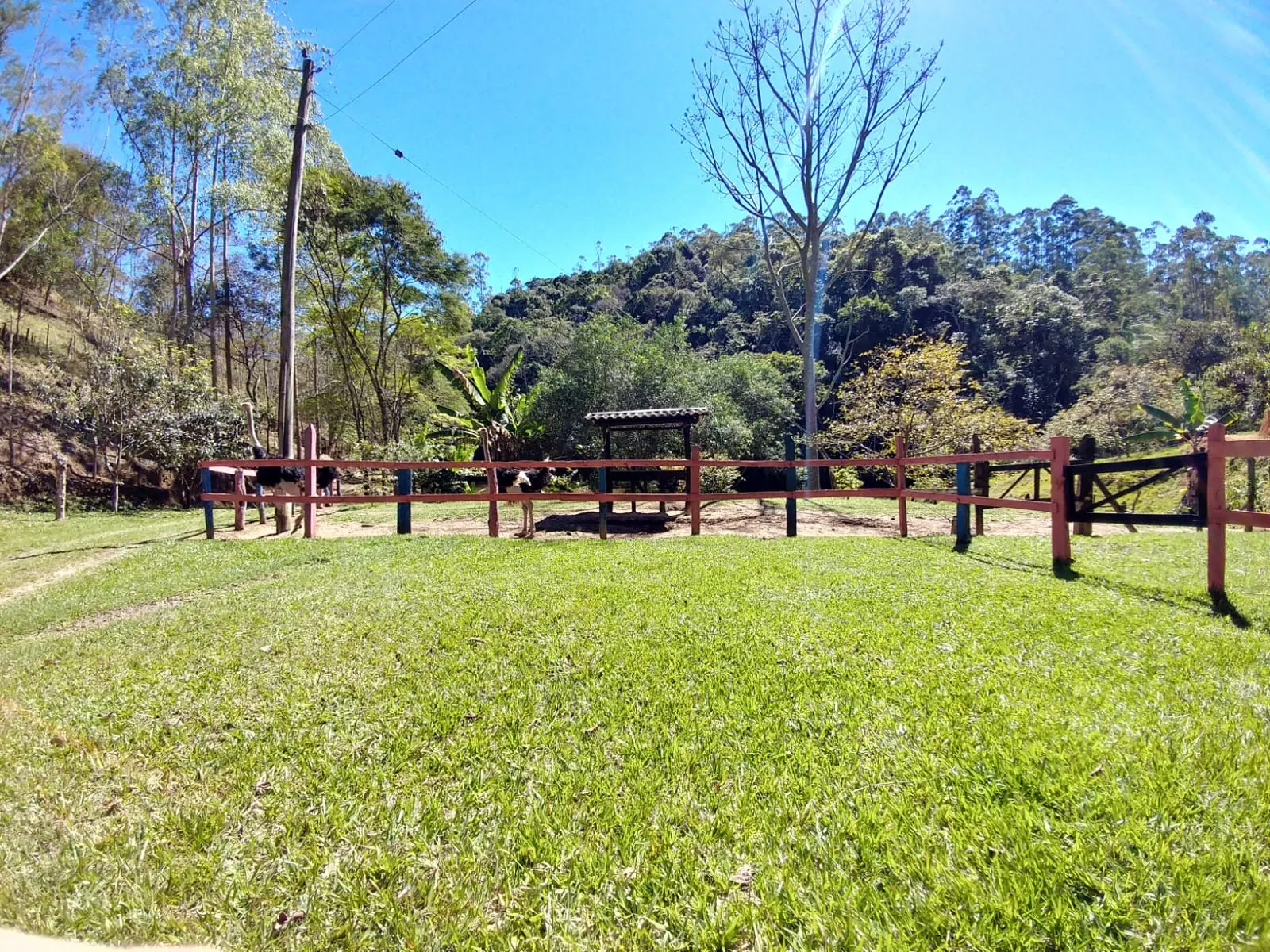Chácara à venda de 4 ha em Monteiro Lobato, SP, Brasil
