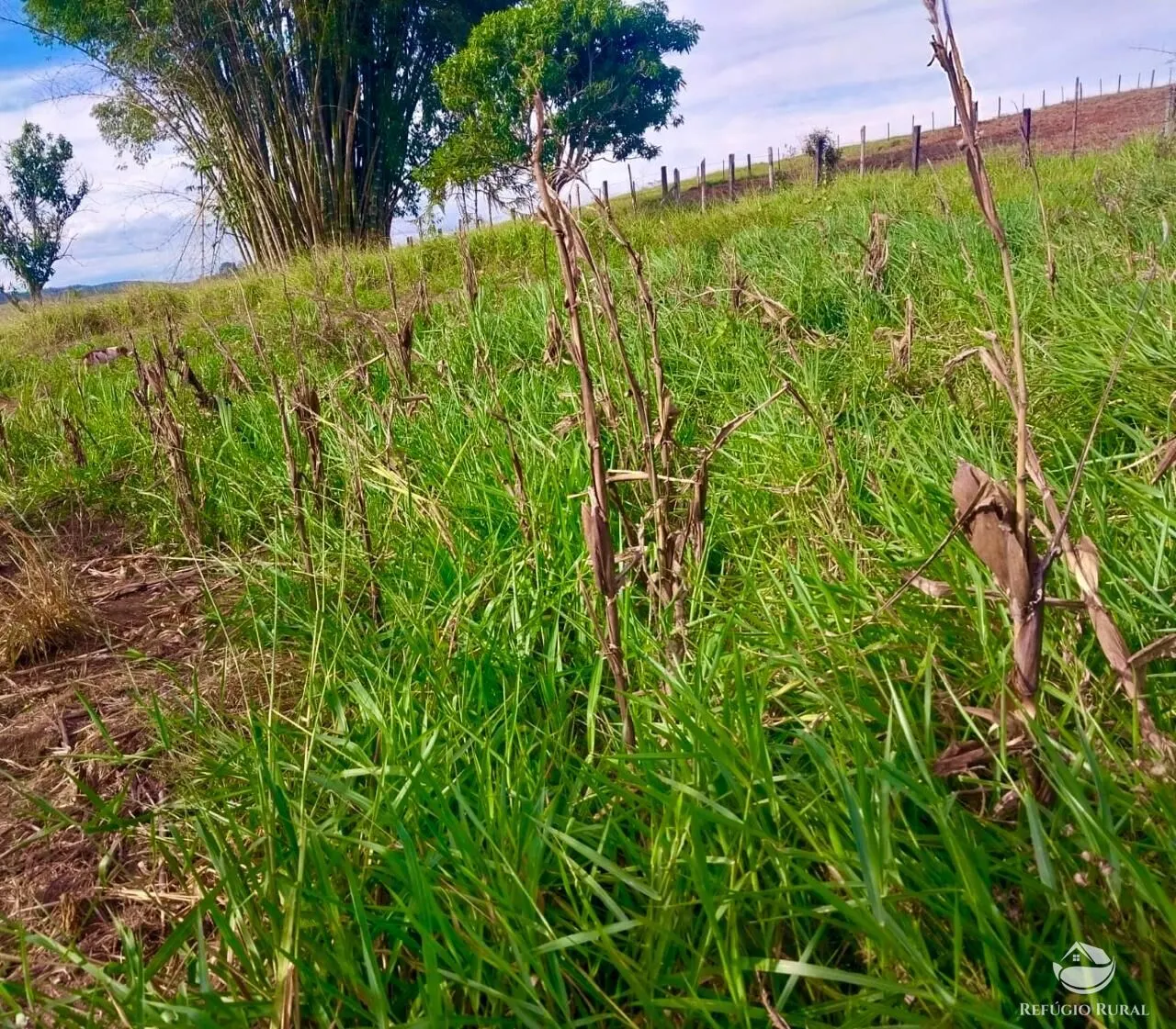Country home for sale of 6 acres in Caçapava, SP, Brazil