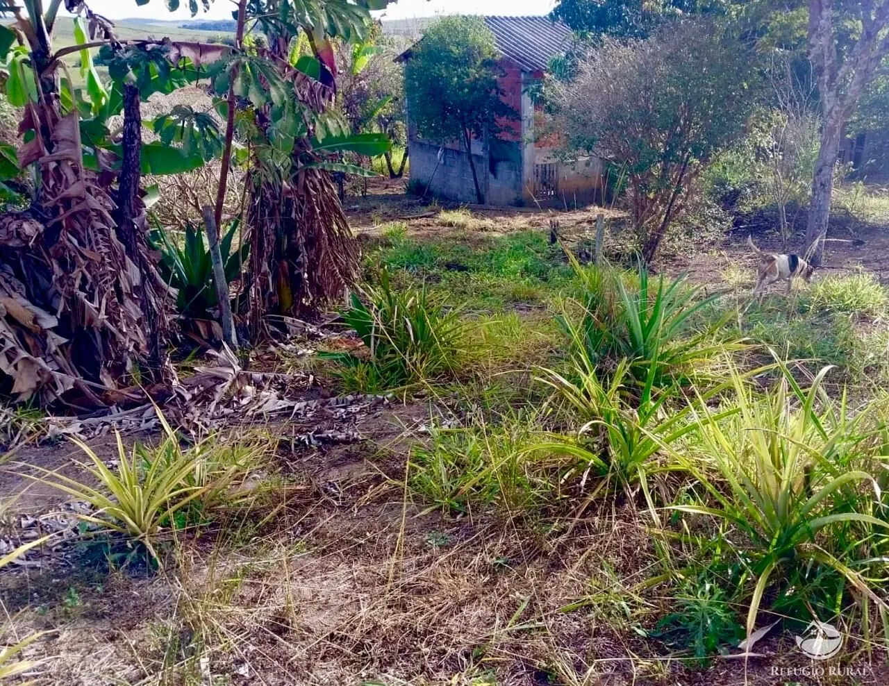 Country home for sale of 6 acres in Caçapava, SP, Brazil