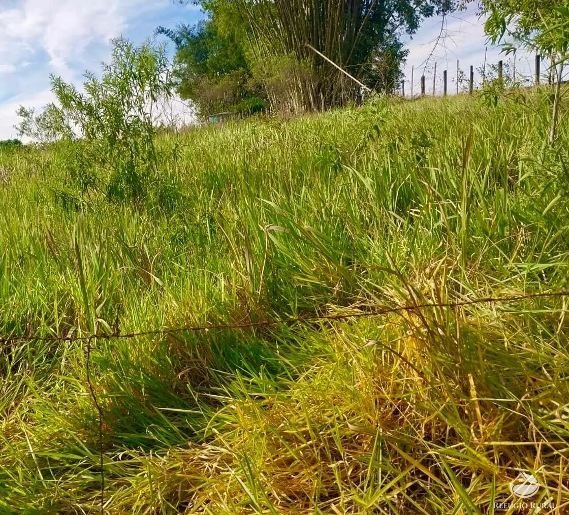 Country home for sale of 6 acres in Caçapava, SP, Brazil