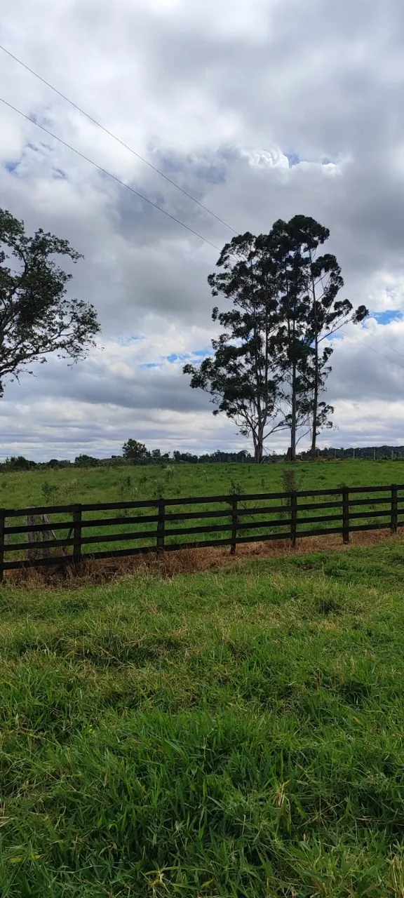 Fazenda à venda de 38 ha em Alambari, SP, Brasil