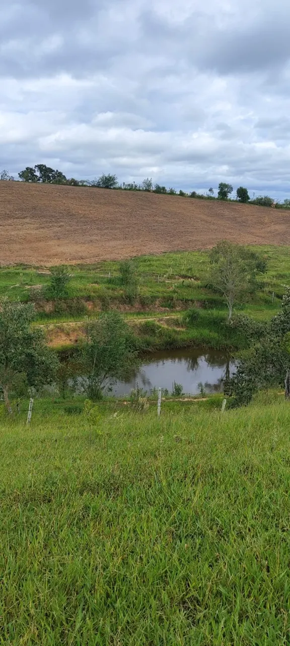 Fazenda à venda de 38 ha em Alambari, SP, Brasil