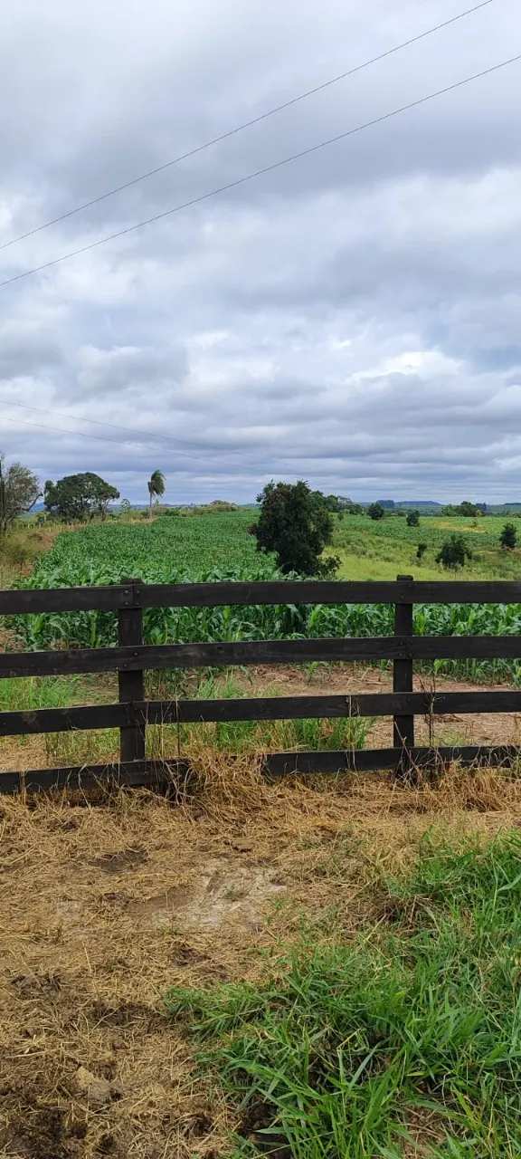 Fazenda à venda de 38 ha em Alambari, SP, Brasil