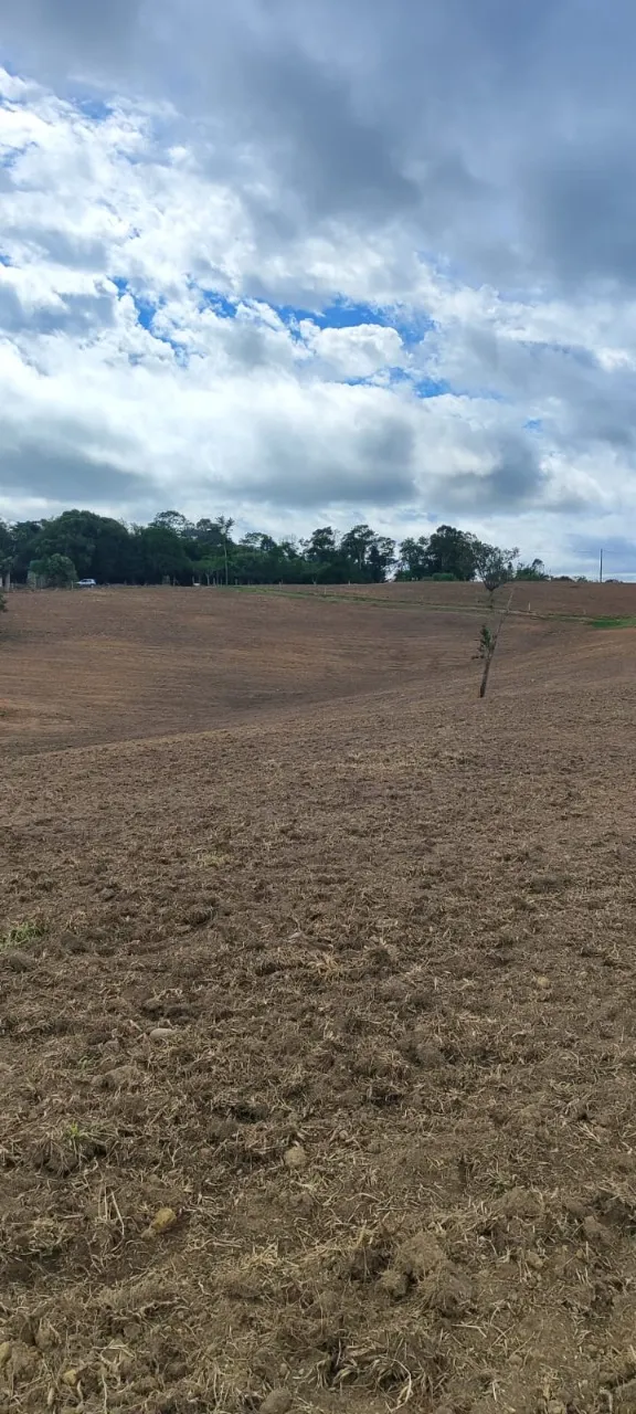 Fazenda à venda de 38 ha em Alambari, SP, Brasil