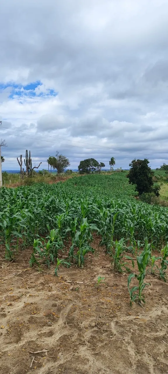 Fazenda à venda de 38 ha em Alambari, SP, Brasil
