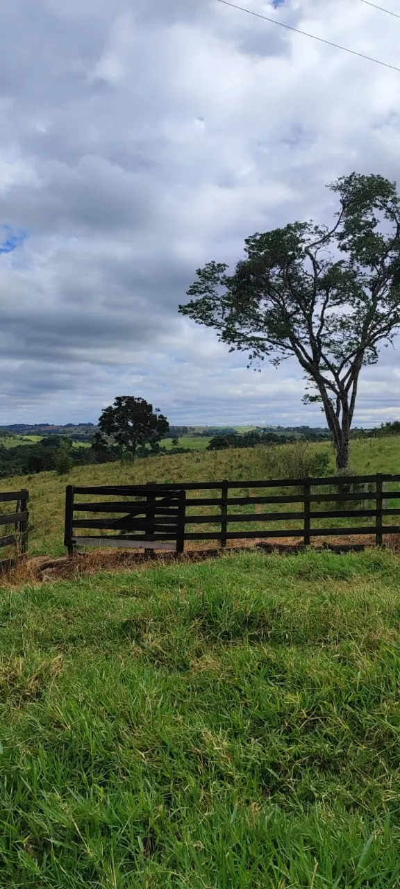 Fazenda à venda de 38 ha em Alambari, SP, Brasil