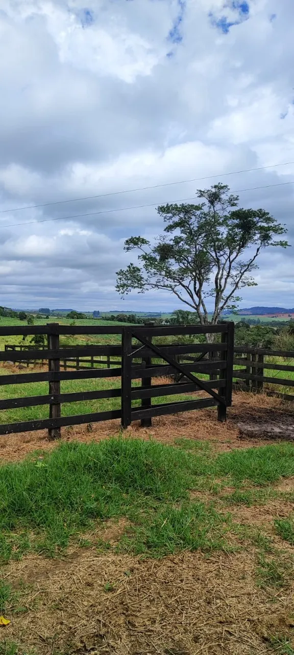 Fazenda à venda de 38 ha em Alambari, SP, Brasil